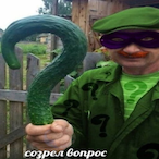 MACKO20202's Avatar'