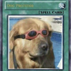 Tapetal06's Avatar'