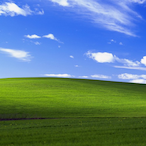 quackcokane's Avatar'