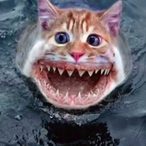 k80.potato's Avatar'
