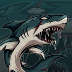 o kr1llzzz's Avatar'
