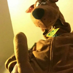 ecaus_ydnugrub's Avatar'