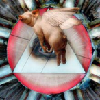 ABE889's Avatar'