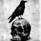 WbhCrow's Avatar'