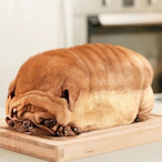 Bread._.Bread's Avatar'