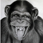 Diabolocus's Avatar'