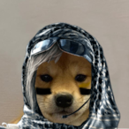 Trash_Boat.'s Avatar'