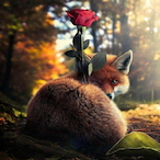 Foxlywild316's Avatar'