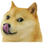 MrJayFoxify's Avatar'