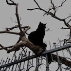 ryuk._'s Avatar'
