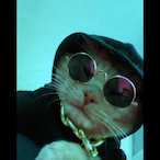 CHARIN1812's Avatar'