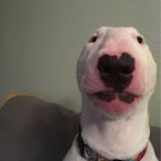 JOHNFORTNlTE's Avatar'