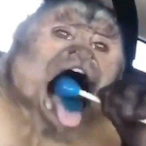 TheKiToxic's Avatar'