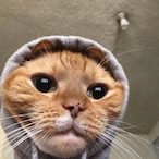 ophiuqus_'s Avatar'