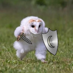 UnfortunateSped's Avatar'