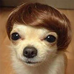 IIIlllIlIIlIIII0's Avatar'