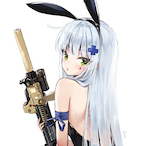 HK416.YMFM's Avatar'
