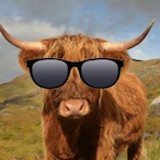 llamacow12345's Avatar'