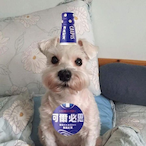 Calpis.FYM's Avatar'