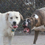 UC.fufu4548's Avatar