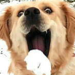 SpongyGarfunkel's Avatar'