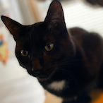 glizzyonjizzy's Avatar'