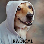 GrandaddyGrits's Avatar'