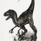 Blackraptor.EZ's Avatar'