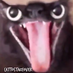 MartinhoDaVila2's Avatar'