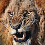 EsseJP's Avatar'