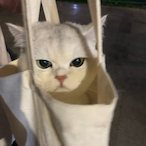 shecallmeghost's Avatar'