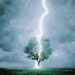 LuckCrow's Avatar'