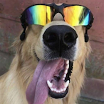 kayky.fv's Avatar'