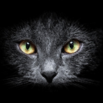 evasive_bread76's Avatar'