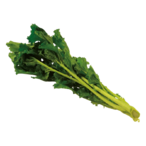 staengel.kohl's Avatar'