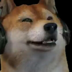 tankki_'s Avatar'