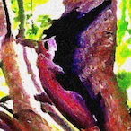 LUCASfan67's Avatar'