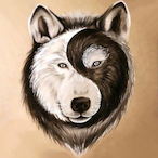 warriornoob911's Avatar'