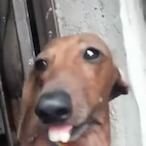 FrostyMars.INTL's Avatar'