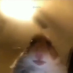 EvaZeroTwo's Avatar'