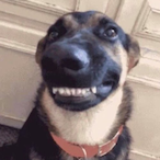 itzkoola's Avatar'