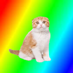 FolksySpy9719's Avatar'