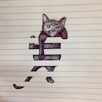 Flippyfr's Avatar'