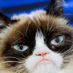 SteelB_'s Avatar'
