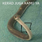 Kerad.GAIN's Avatar'