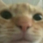 LelandWSprinkle's Avatar'