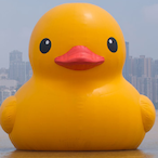 qwackerr's Avatar'