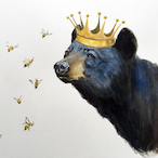 BaronBears's Avatar'
