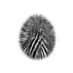 MEUZOVO.COM's Avatar'