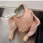 Bisso.Monello's Avatar'